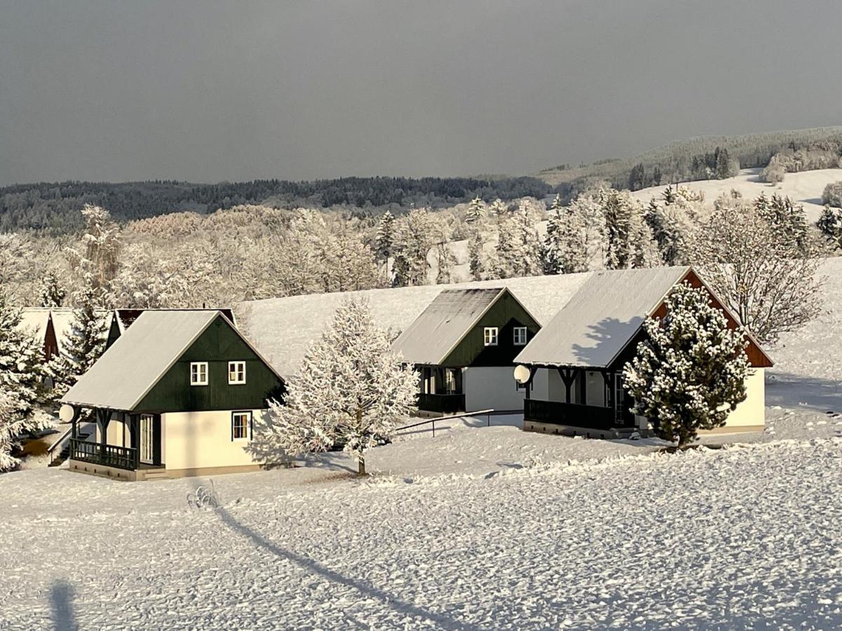 Villa Čtyřicítka na Šťastném kopci à Černý Důl Extérieur photo