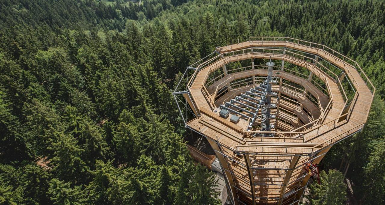 Villa Čtyřicítka na Šťastném kopci à Černý Důl Extérieur photo